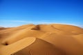 Golden sand dunes in central desert of Iran Royalty Free Stock Photo