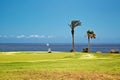 Beautiful landscape of a golf court with palm trees Royalty Free Stock Photo