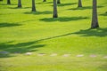 Beautiful landscape of a golf court with palm trees in Punta Cana, Dominican Republic Royalty Free Stock Photo