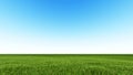 Beautiful landscape, grass clean blue sky Royalty Free Stock Photo