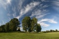 Beautiful landscape with grassland, trees and cirr Royalty Free Stock Photo