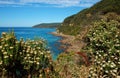 Beautiful landscape on Great Ocean Road, Australia. Royalty Free Stock Photo
