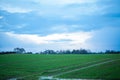 Beautiful landscape of green farmland and blue sky