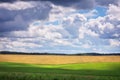 Beautiful landscape with green field and cloudy sky