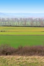 Beautiful landscape with green fields and blue sky Royalty Free Stock Photo
