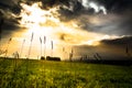 Beautiful landscape with green fields and a cloudy sky