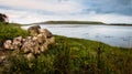 Beautiful landscape with green grass, Atlantic ocean an mountain in the backgroun at Silverstrand in Galway county, Ireland Royalty Free Stock Photo