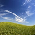 Beautiful landscape with green grass and blue sky Royalty Free Stock Photo