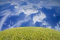 Beautiful Landscape green grass and dramatic blue sky Royalty Free Stock Photo