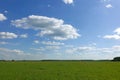 Beautiful landscape. Green grass field and blue sky with white clouds Royalty Free Stock Photo