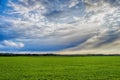 Beautiful landscape, green grass, field