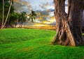 Beautiful landscape of green grass field park against dusky sky