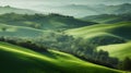 Beautiful landscape with green hills and trees in Tuscany, Italy