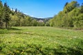 Beautiful landscape with green meadows, yellow and white flowers and cottages, Carpathian Mountains, Ukraine Royalty Free Stock Photo