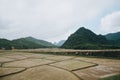 beautiful landscape with green mountains and paddy fields in Phong Nha Ke Bang National