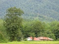 Beautiful landscape of the green paradise paddy field Royalty Free Stock Photo