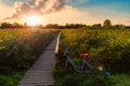 Landscape on a green Strandengen meadow. The bicycle stands near a wooden bridge that goes across the lake, overgrown Royalty Free Stock Photo