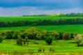 Beautiful landscape, green and yellow field. Dramatic sky with clouds