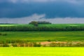 Beautiful landscape, green and yellow field. Dramatic sky with clouds