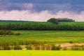 Beautiful landscape, green and yellow field. Dramatic sky with clouds