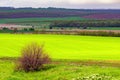 Beautiful landscape, green and yellow field. Dramatic sky with clouds