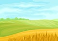 Beautiful landscape of green and yellow fields. Vector illustration on white background.