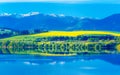 Beautiful landscape, green and yellow meadow and lake with mountain in background. Slovakia, Central Europe. Royalty Free Stock Photo