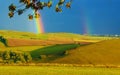 Beautiful landscape, green and yellow meadow And