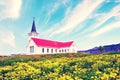 Beautiful landscape with Grundafjordur church and yellow flowers  near waterfall Kirkjufell Royalty Free Stock Photo