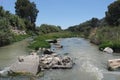 Beautiful landscape in guadalorce river malaga