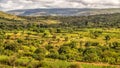 Beautiful landscape of Harar Royalty Free Stock Photo