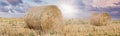 Beautiful Landscape In Hay Bale Field, Straw Rolls Of Wheat On Farmer Field