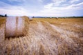 Landscape with hay roll Royalty Free Stock Photo