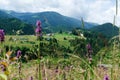 Beautiful landscape from a height. Typical Carpathian village in a valley, forest and mountains under cloudy sky. Dzembronya, Royalty Free Stock Photo