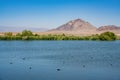 Beautiful landscape of Henderson Bird Viewing Preserve Royalty Free Stock Photo