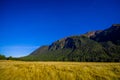 Beautiful landscape of high mountain glacier at milford sound, in south island in New Zealand Royalty Free Stock Photo