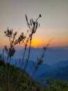Morning Sunrise at mountain Uttarakhand