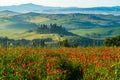 Beautiful landscape of hilly Tuscany in Italy Royalty Free Stock Photo