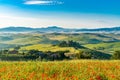 Beautiful landscape of hilly Tuscany in summer sunny morning