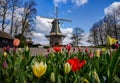Beautiful landscape of Holland in spring