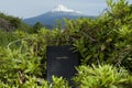 Beautiful landscape with Holy Bible among green leaves. Blurred background with Mount Fuji with snow covered peak. Horizontal shot