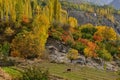 Beautiful Landscape of Hunza Valley in Autumn season.