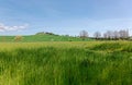 Beautiful landscape of idyllic Tuscany countryside in springtime, with a winding country road lined with cypress trees Royalty Free Stock Photo