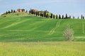 Beautiful landscape of idyllic Tuscany countryside in springtime, with a winding country road lined with cypress trees