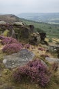 Beautiful landscape image of late Summer vibrant heather at Curbar Edge in Peak District National Park in England Royalty Free Stock Photo