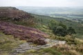 Beautiful landscape image of late Summer vibrant heather at Curbar Edge in Peak District National Park in England Royalty Free Stock Photo