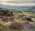 Beautiful landscape image of late Summer vibrant heather at Curbar Edge in Peak District National Park in England Royalty Free Stock Photo