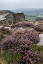 Beautiful landscape image of late Summer vibrant heather at Curbar Edge in Peak District National Park in England Royalty Free Stock Photo