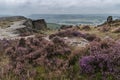 Beautiful landscape image of late Summer vibrant heather at Curbar Edge in Peak District National Park in England Royalty Free Stock Photo