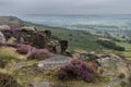 Beautiful landscape image of late Summer vibrant heather at Curbar Edge in Peak District National Park in England Royalty Free Stock Photo